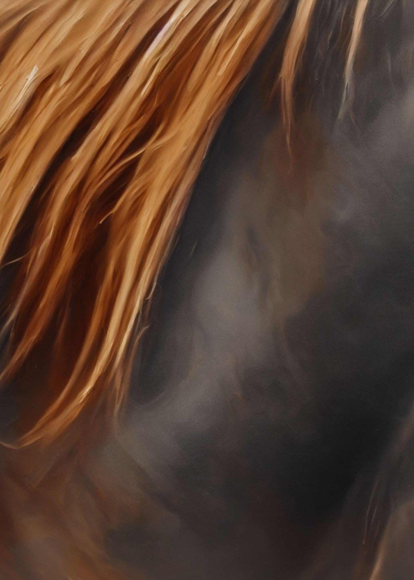 A close-up for an arabian horse mane, wall art frame by wall and more