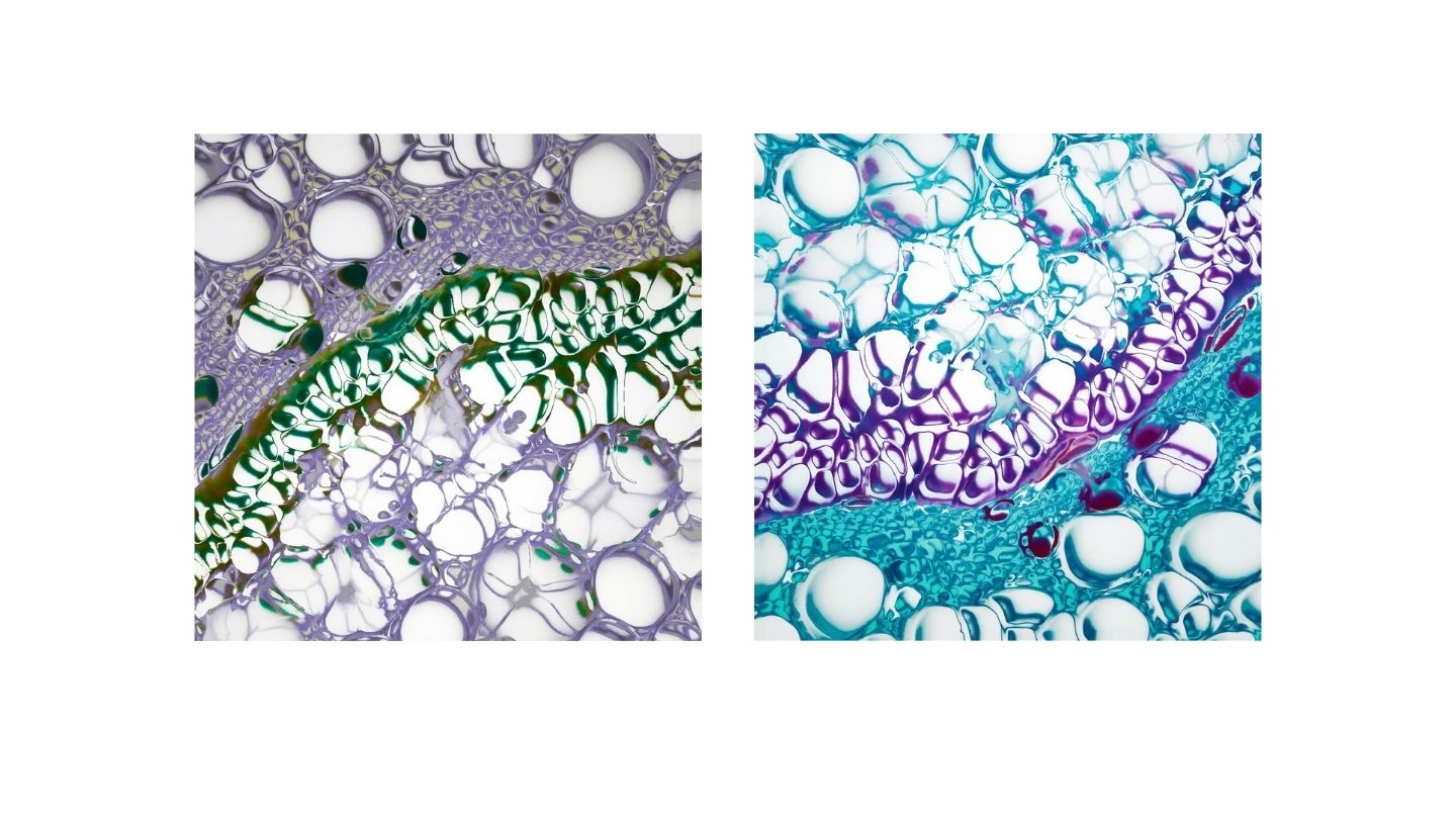 Mosaic colorful design, wall art frames by wall and more