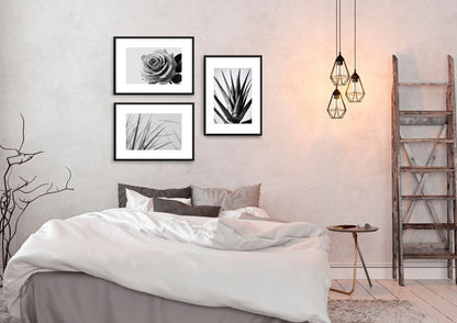 A set of three framed black-and-white botanical photographs featuring high contrast and detail. The top left image is a close-up of the delicate, swirling petals of a rose; the bottom left is a horizontal crop of thin, spiky grass blades; and the right image is a vertical close-up of the sharp, pointed leaves of an agave or similar succulent plant. Wall art frames in a bed room by wall and more