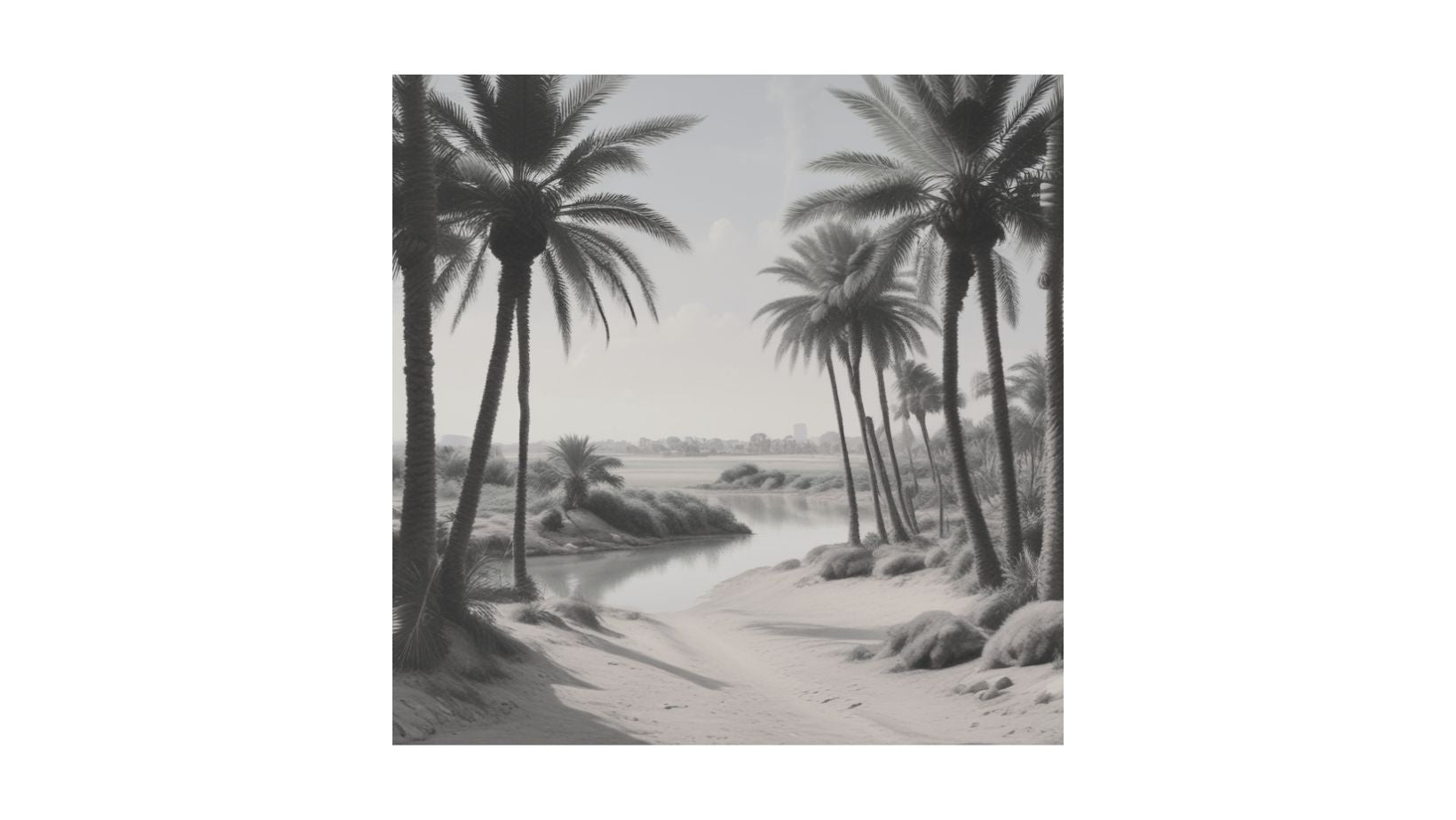 Vintage Egyptian Documentary art paper (1 print): Nile Life black and white photography featuring palm trees. Ideal Cultural/Bohemian decor.