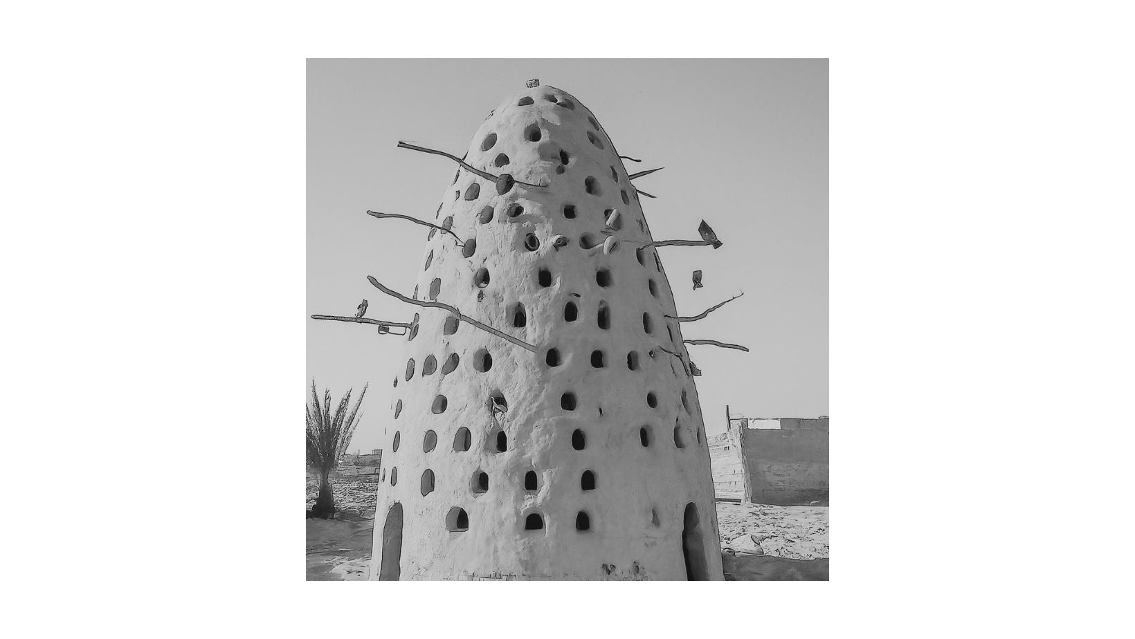 Vintage Egyptian Documentary (1 print): Nile Life black and white photography featuring a mud dovecote for pigeons. Ideal Cultural/Bohemian decor.