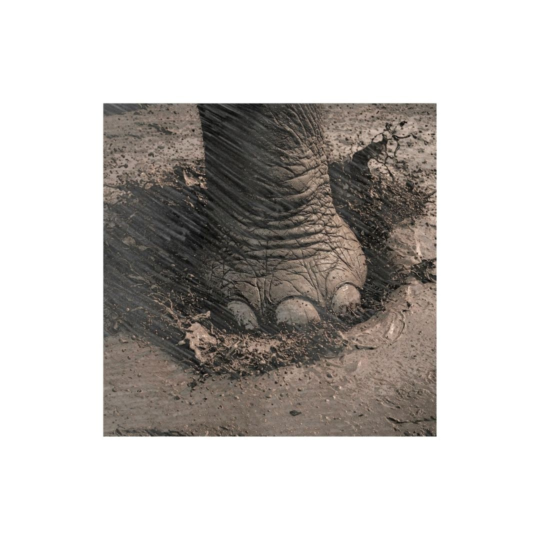 Monochromatic strong step in life. wall art frame by wall and more