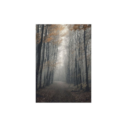 Misty forest scene with tall trees and a path disappearing into the mist.